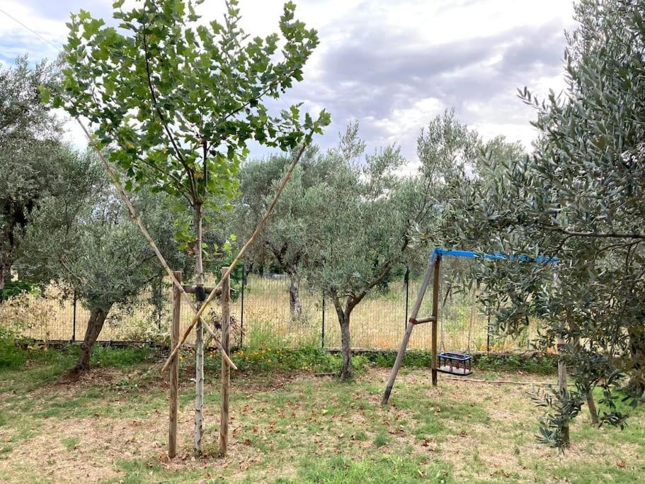 Casa Sisu-Appartamento Immerso Negli Ulivi SantʼElia Fiumerapido Exterior foto