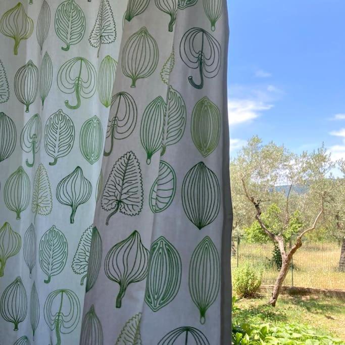 Casa Sisu-Appartamento Immerso Negli Ulivi SantʼElia Fiumerapido Exterior foto