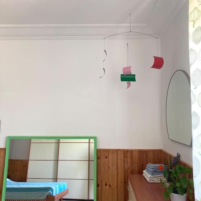 Casa Sisu-Appartamento Immerso Negli Ulivi SantʼElia Fiumerapido Exterior foto