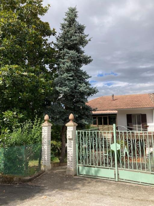 Casa Sisu-Appartamento Immerso Negli Ulivi SantʼElia Fiumerapido Exterior foto