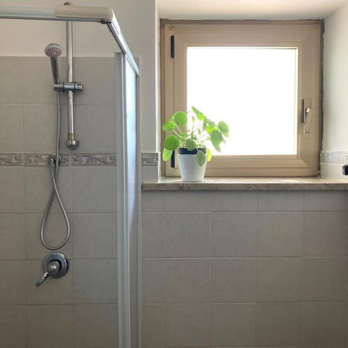 Casa Sisu-Appartamento Immerso Negli Ulivi SantʼElia Fiumerapido Exterior foto