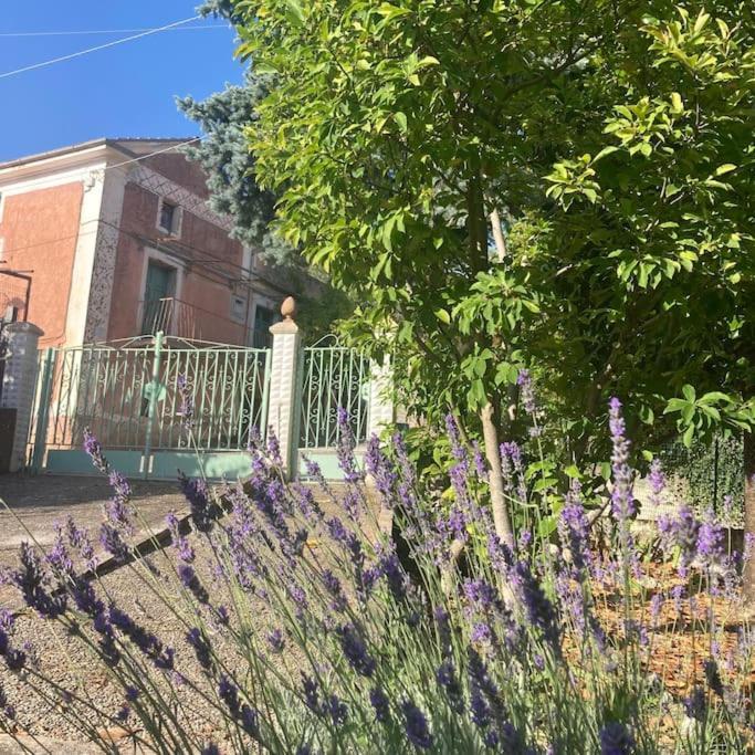 Casa Sisu-Appartamento Immerso Negli Ulivi SantʼElia Fiumerapido Exterior foto