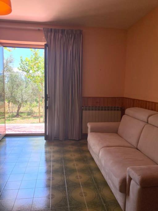 Casa Sisu-Appartamento Immerso Negli Ulivi SantʼElia Fiumerapido Exterior foto